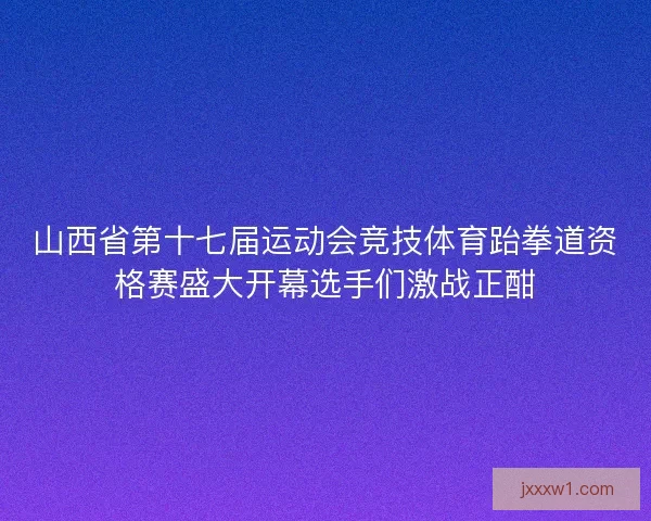 山西省第十七届运动会竞技体育跆拳道资格赛盛大开幕选手们激战正酣